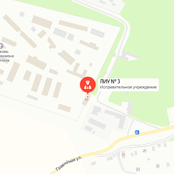 ЛИУ-3 Боровичи ЛИУ-3 Боровичи